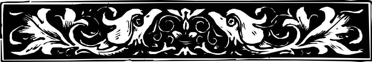 NOLA in White on Black Background - Stylish Animal Borders Clipart