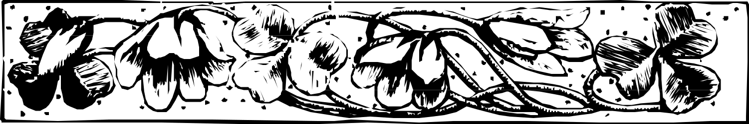 Bearded Man Clipart: Black and White Borders with Plant Elements
