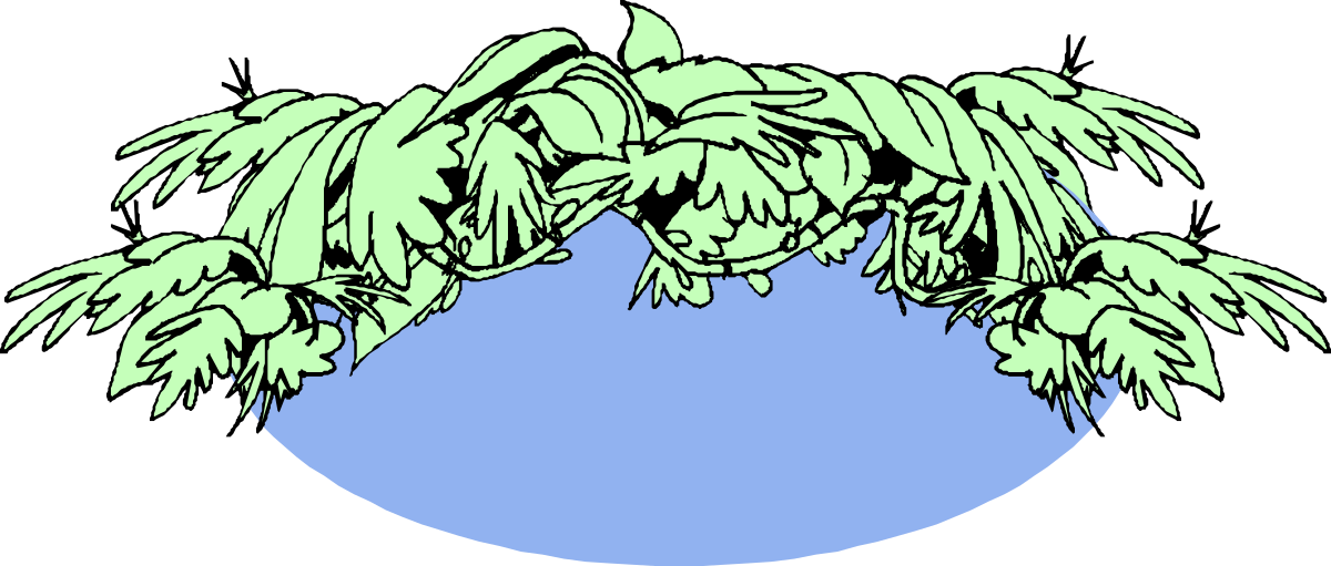 Borders of Greenery: Vibrant Plant Leaves Clipart