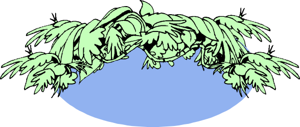 Borders of Greenery: Vibrant Plant Leaves Clipart