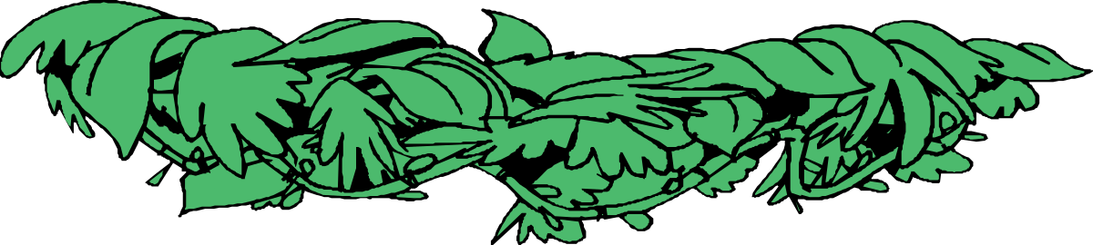 a green heart with wings clip art png transparent Green Heart with Wings Clipart - Elegant Borders and Nature Elements