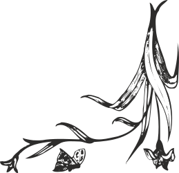 Borders and Plants: Elegant Black and White Butterfly Clipart