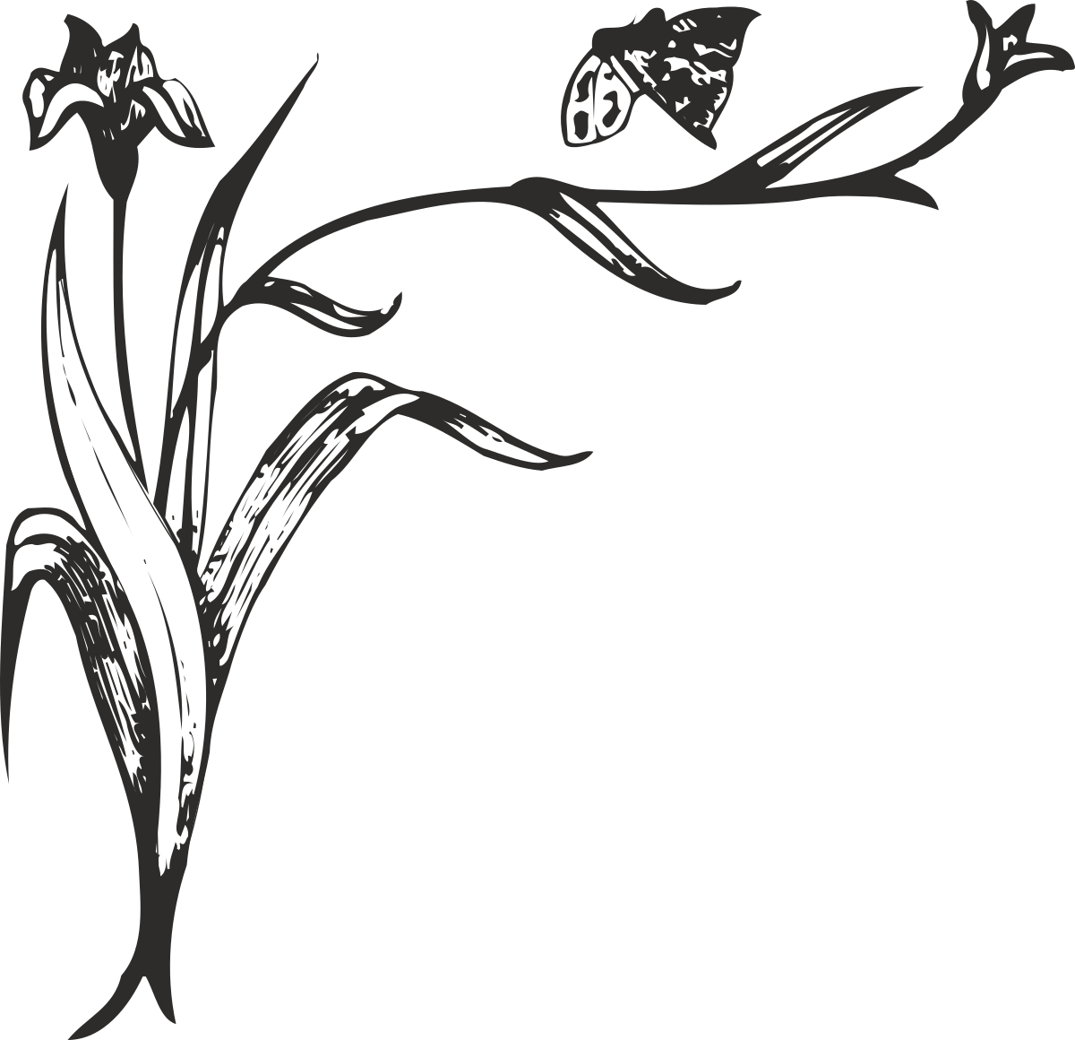 Borders and Plants Clipart with Butterfly - Elegant Black and White Design