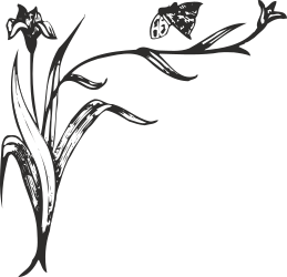 Borders and Plants Clipart with Butterfly - Elegant Black and White Design