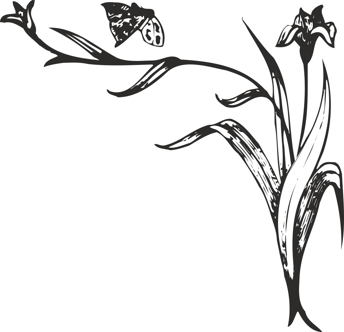a black and white drawing of a woman in a dress clip art png transparent Borders Plant Butterfly Woman Dress Clipart - Elegant Black and White Drawing