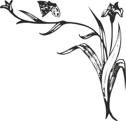 Borders Plant Butterfly Woman Dress Clipart - Elegant Black and White Drawing