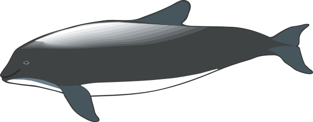 Whale Clipart: Majestic Whale with White Tail and Black Fins