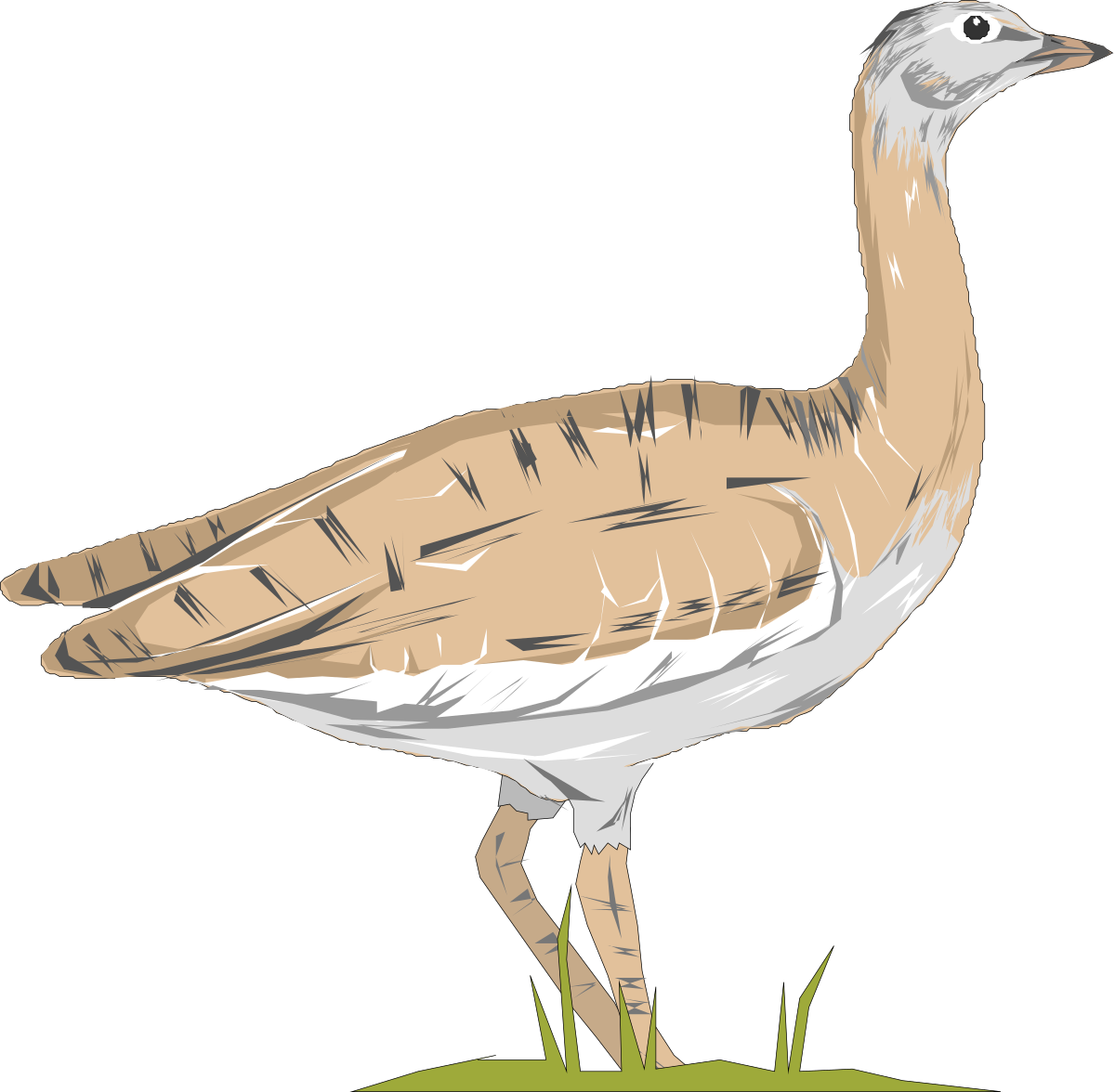 Bird Standing on Grass Clipart: Ideal for Nature and Wildlife Themes