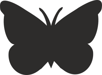 Black and White Butterfly Clipart - Elegant and Detailed Design