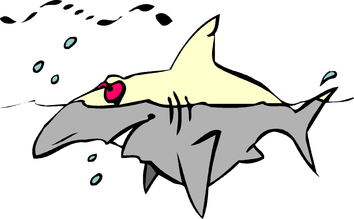 Shark with Red Nose on Black Background - Unique Clipart Design