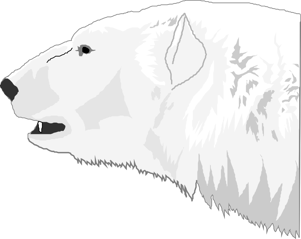 Polar Clipart: Stunning Arctic Illustrations for Your Projects