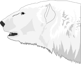 Polar Clipart: Stunning Arctic Illustrations for Your Projects