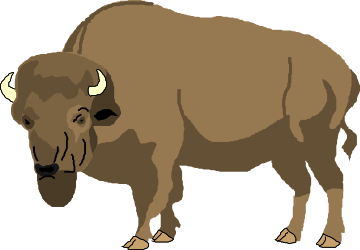 Bison Standing Majestically on Black Background Clipart