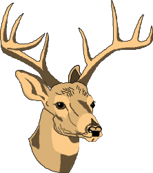 Deer Head with Ants Clipart - Unique Wildlife Illustration