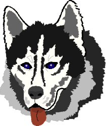 Husky Clipart with Blue Eyes and Playful Tongue