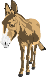 Donkey Standing on Black Background Clipart - Unique and Eye-Catching Visuals