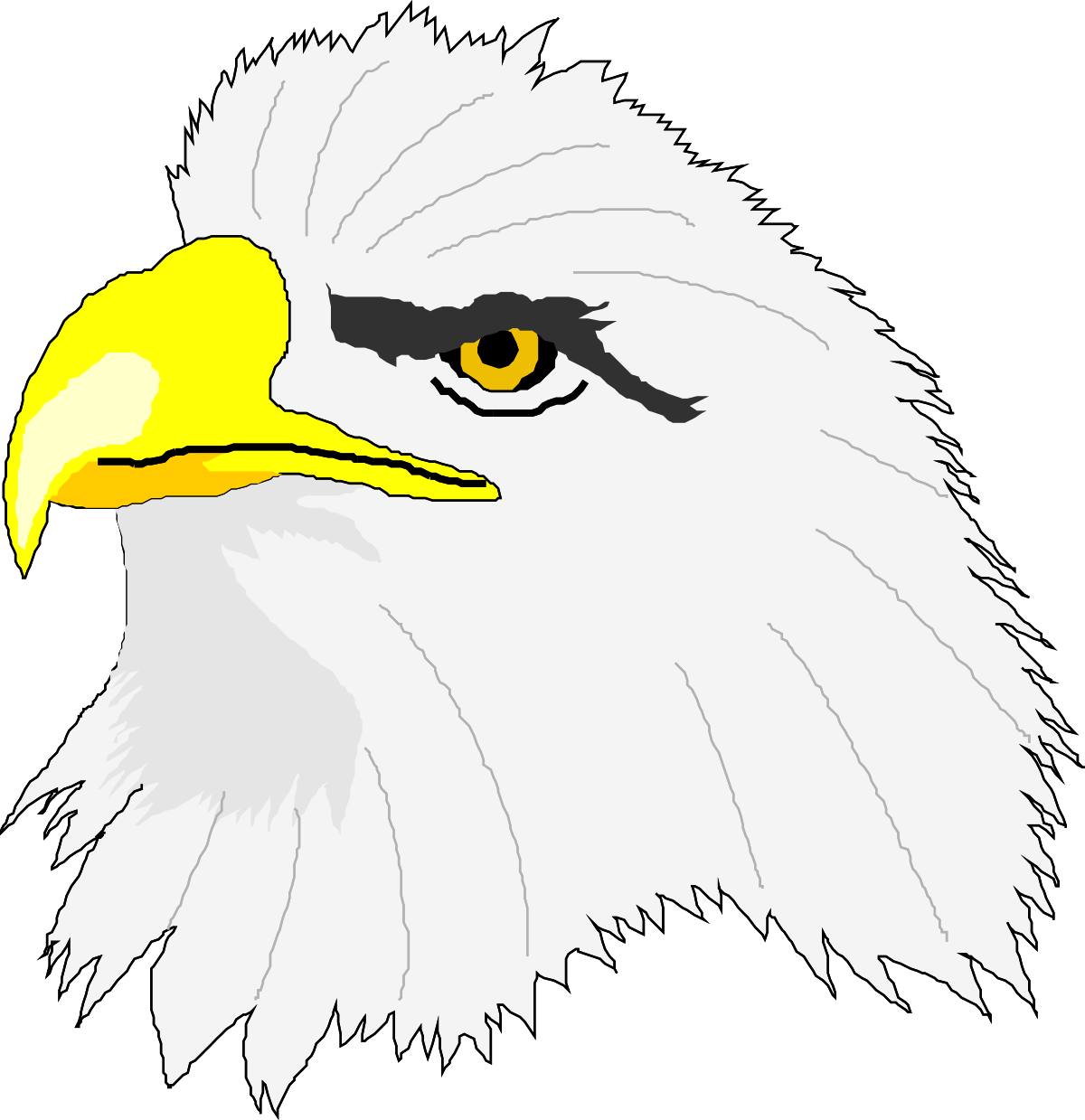 Eagle Head Clipart with Yellow Beak - Stunning Wildlife Illustration
