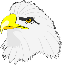 Eagle Head Clipart with Yellow Beak - Stunning Wildlife Illustration