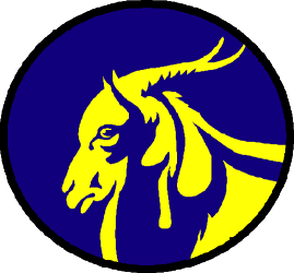 Horse Head Clipart with Yellow and Blue Circle  Perfect for Creative Projects