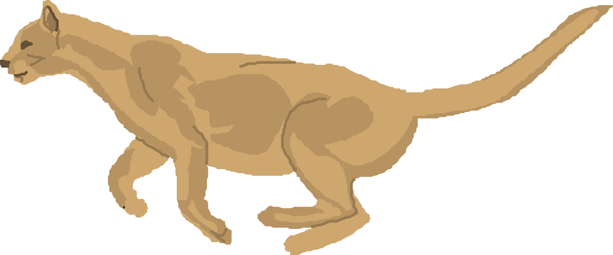 Cat Walking on Black Background - Stunning Clipart Graphic