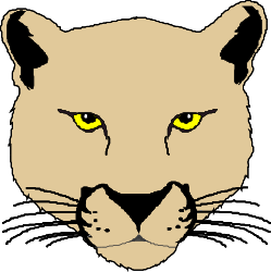 Yellow Eyed Cat Clipart - Adorable Feline Illustrations