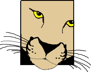Black and White Cat with Striking Yellow Eyes Clipart