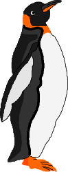 Penguin Clipart: Adorable Black and White Penguin with Orange Beak