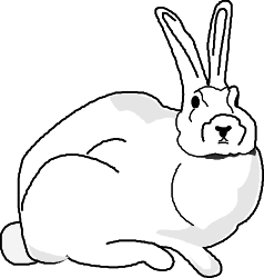 White Rabbit Sitting on the Ground - Charming Clipart for Your Projects