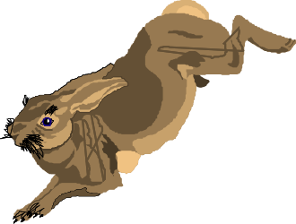 Blue-Eyed Rabbit Jumping Clipart for Creative Projects