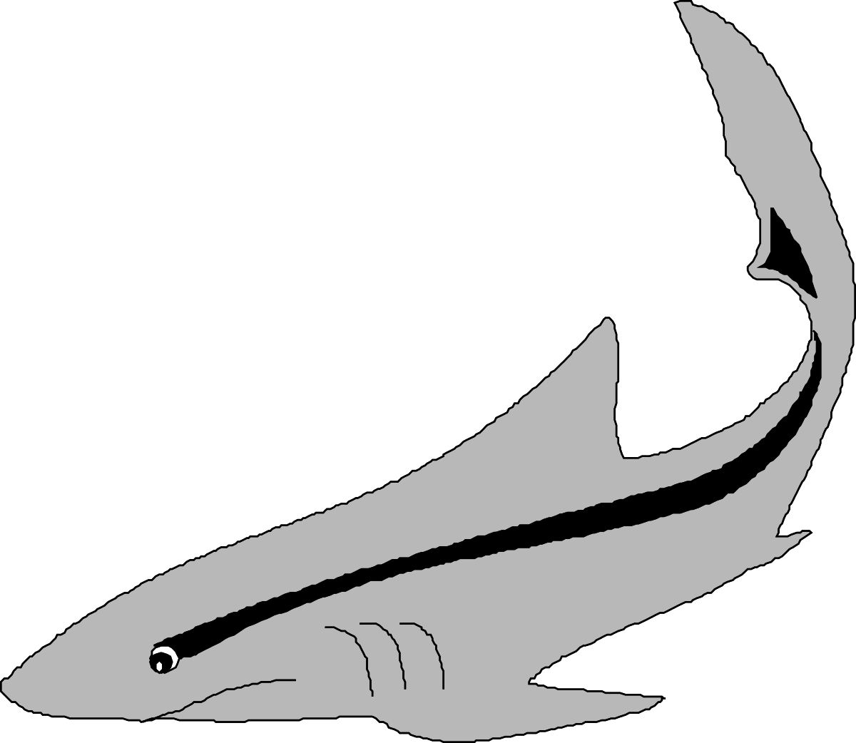 Shark Silhouette on Black Background - Striking Clipart Design