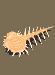 Large Fish Skeleton Clipart for Unique Illustrations