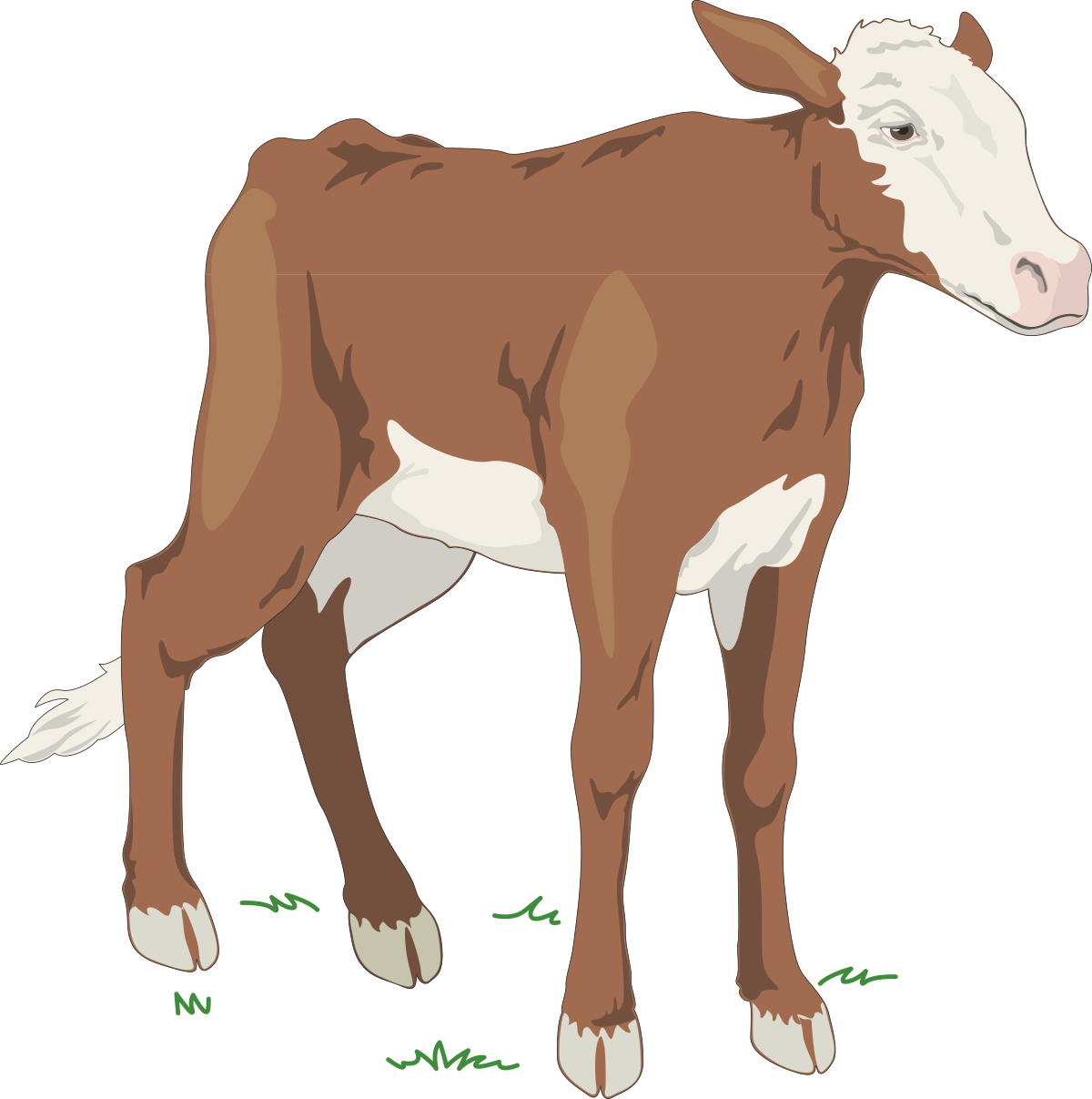 Brown Cow Standing on Green Grass - Vibrant Clipart