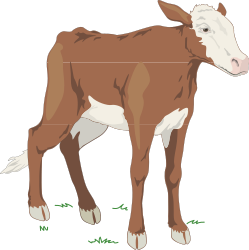 Brown Cow Standing on Green Grass - Vibrant Clipart