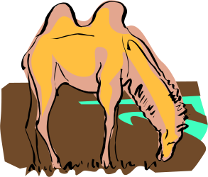 Camel Eating Grass in a Lush Field Clipart