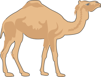 Camel Standing on Black Background - Stunning Clipart for Your Projects