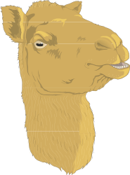 Camel with Big Nose Clipart - Fun and Unique Animal Illustration