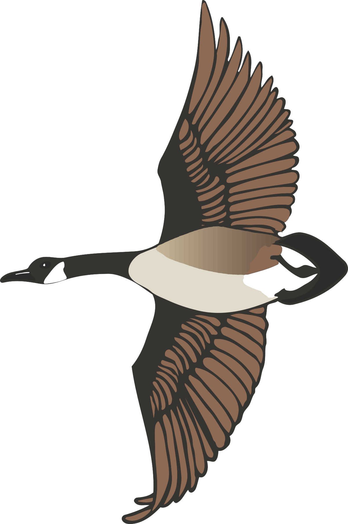 Flying Duck Clipart: Graceful Avian Adventure in the Sky