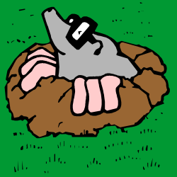 Bird on Rock Clipart - Natural Scene for Creative Projects