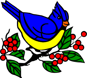 Blue Bird on Holly Branch - Adorable Nature Clipart