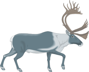 Deer with Ants on Its Head Clipart: Quirky Wildlife Illustration