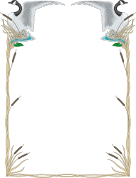 Borders with Geese and Cattails - Elegant Animal Clipart