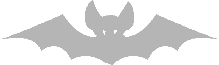 Bat Silhouette on Black Background - Perfect for Spooky Designs