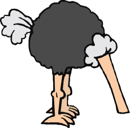 Osm Bird Clipart with Long Beak - Stunning SVG Visuals
