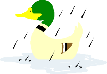 Duck with Green Hat Sitting on Puddle - Charming Clipart