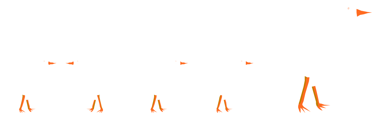 Ducks Standing in a Line - Charming Clipart Collection