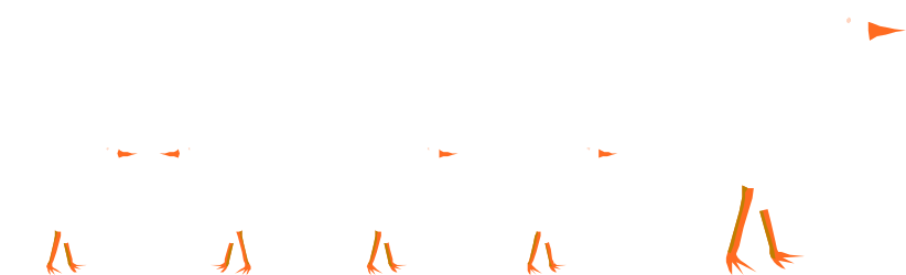 Ducks Standing in a Line - Charming Clipart Collection