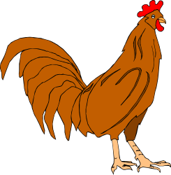 Brown Chicken with Red Head and Tail Clipart for Creative Projects