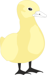 Yellow Duck Clipart with Black Feet and White Beak