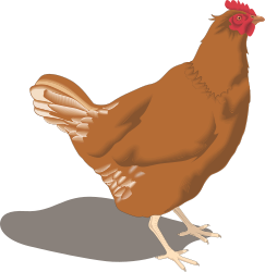 Chicken Clipart with Red Head and White Tail for Creative Projects