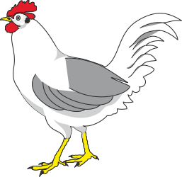 White Chicken with Red Head and Yellow Feet Clipart for Creative Projects